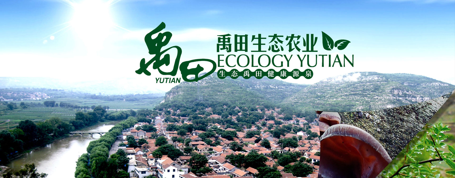 自動(dòng)化圖片